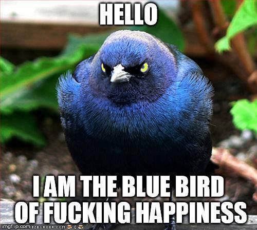 Blue Bird of Happiness